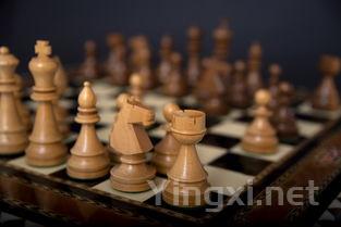 Dolcetto葡萄酒：满足中国口味，尽享多样风味