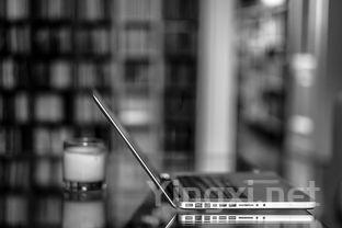 垂直品鉴与水平品鉴：品鉴艺术的两重境界