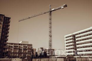 白酒酿造的行业发展战略研究