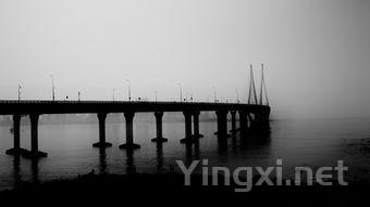 啤酒行业的可持续发展之路