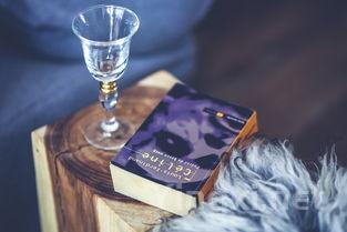 葡萄酒的节日与庆典:传统、文化与庆祝的融合