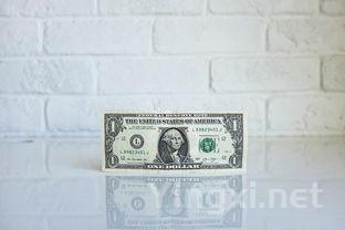 姚明跨界葡萄酒市场：投资新领域还是新尝试？