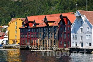 深入剖析:决定葡萄酒价格的关键因素揭秘