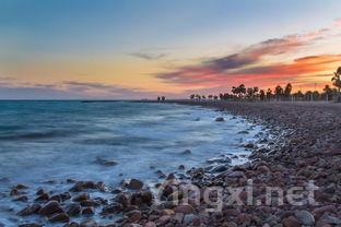 白酒品鉴秘诀:探究“醇厚感”的奥秘