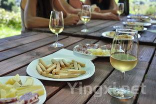 集中下的分化,从2024年的Q1成绩单我们能看到什么?