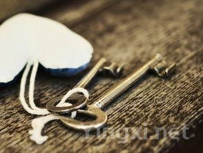 穿过“战略关键考验期”，水井坊的底色和定力相辅相成