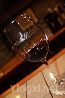 葡萄酒新手不用慌，这些建议助你融入话题