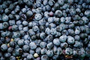 大瓶装的葡萄酒,品质会更好吗?