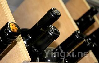 侍酒之道：葡萄酒温度的掌控与优质服务解析