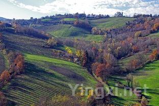 为什么“坡地”盛产优质葡萄酒？