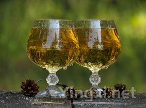 葡萄酒加冰饮用，真的明智吗？