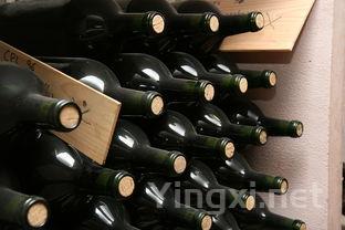 气候变迁：波尔多与勃艮第葡萄酒的厄运？