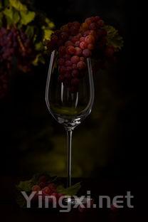 意大利首屈一指：科内利亚诺引领酿酒师教育新潮流