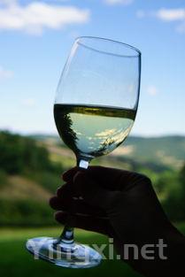 清凉一夏：速学白葡萄酒冰镇妙招