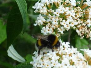 价格高昂的葡萄酒口感一定绝佳吗？