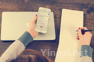 葡萄酒中的添加剂:合理存在非洪水猛兽