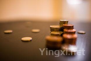 黑皮诺傲娇公主：性格解读与独特风采