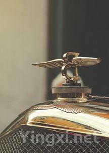 究竟多少钱的葡萄酒算得上奢侈品?