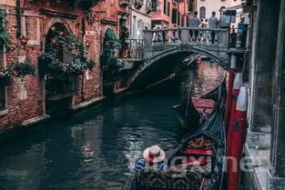 白葡萄酒之旅：探索澳大利亚的美酒传奇