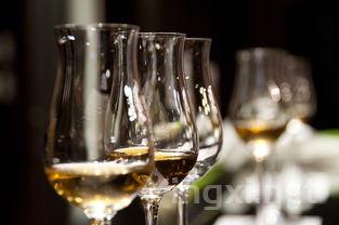 冰酒新风尚：40秒闪电冷却，科技赋予葡萄酒新体验！