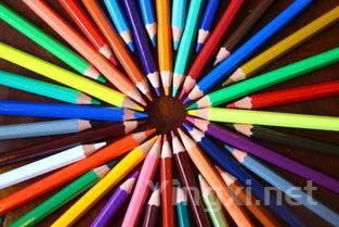 香料加持的 Vermouth：独特风味探秘