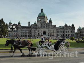 探寻单一园与独占园:两者间的奥秘解析