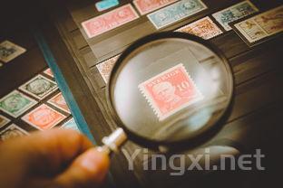 收藏家瞩目！Amarone产区掀起投资新浪潮