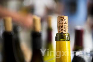 意大利葡萄酒之光：天娜干红惊艳问世