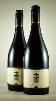 日本葡萄酒：独具特色的东方风情酒款