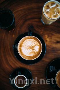 内比奥罗：揭秘巴罗洛葡萄酒的传奇灵魂