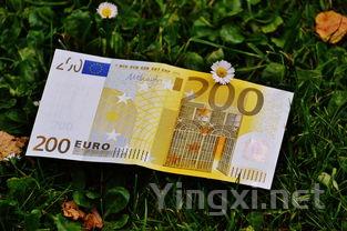 完美保存葡萄酒：从入门到精通的指南