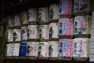 葡萄酒入门必修:酒体背后的秘密世界