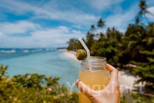 赫柏湾品牌创新：红酒保鲜技术革命性突破