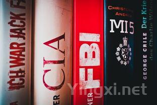 葡萄酒时光机：探索酒香中的历史奥秘