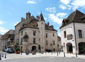 葡萄酒爱好者必备：A到Z术语全解析，提升品鉴水平