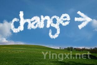 葡萄园分级革新：品质新浪潮