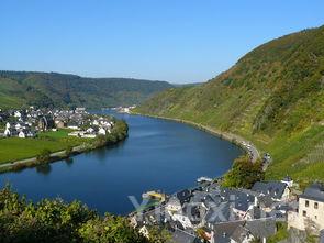 白酒酿造技艺革新：品质飞跃新篇章