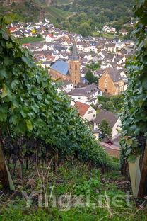 解锁东北白酒主流市场：品牌营销新策略