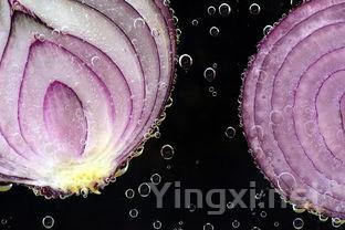 轻松辨识五种白葡萄风味：新手必备指南