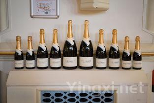 一目了然：品味意大利经典起泡酒盛宴