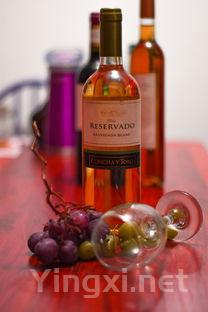 葡萄酒初学者指南：初次品尝哪些酒最合适？