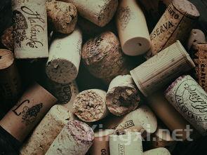 巴罗洛酒王荣耀背后：内比奥罗的非凡贡献