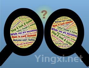 了解葡萄酒添加剂：不必恐慌，理性看待