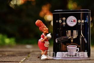 探寻低调宝藏：西班牙葡萄酒的魅力