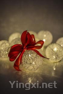 轻松盲品无压力:掌握这13大白葡萄品种秘籍!