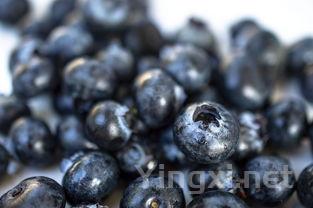 品味白葡萄的五种风情:鉴别指南大公开