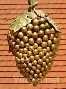 白葡萄风味识别宝典:五步辨别五种风味