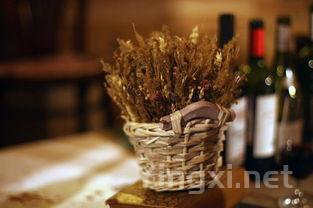 甘肃在港展示河西走廊葡萄酒魅力,助推产业国际化