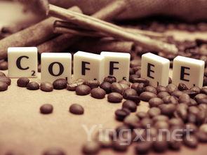 雪利酒大揭秘:10个常见问题解答