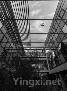 深入探索法国汝拉:五点精髓一网打尽